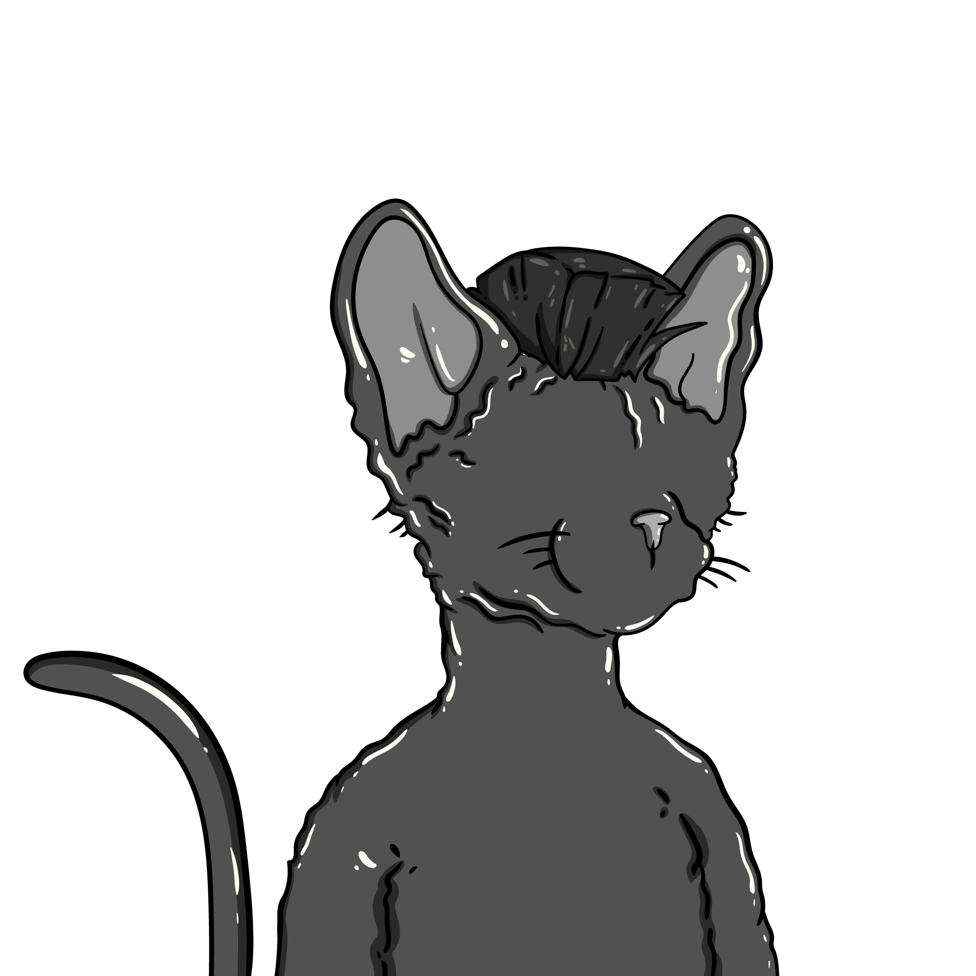 head